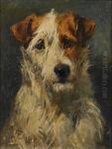Fox Terrier