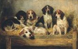 Hounds In A Kennel by John Emms