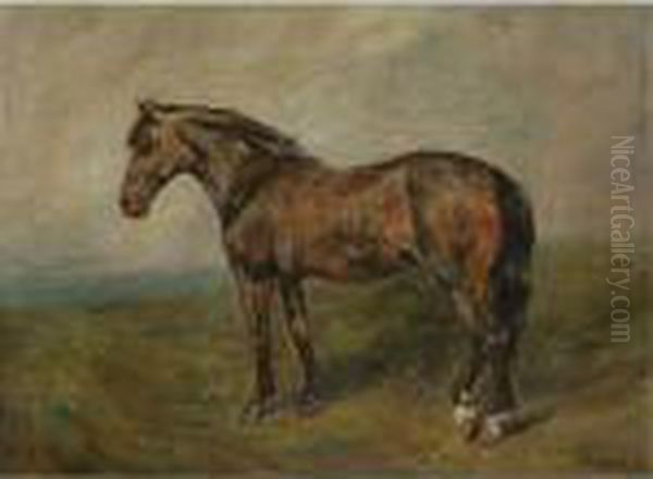 A Bay Hunter - view 1