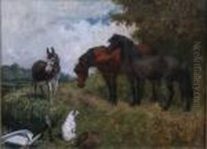 Guarding The Catch Signed 20 X 27in by John Emms