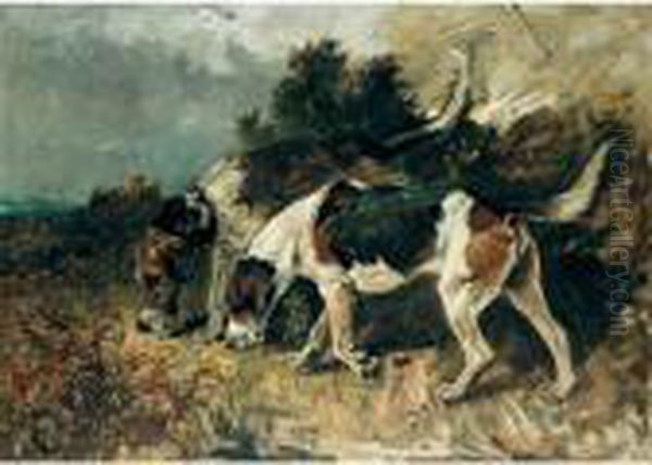 The Tufters - view 1