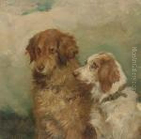 A Retriever And A Spaniel - view 1