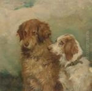 A Retriever And A Spaniel