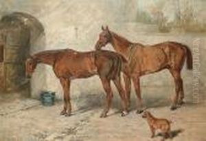 'australia', 'barney' And 'doctor' In A Stable Yard