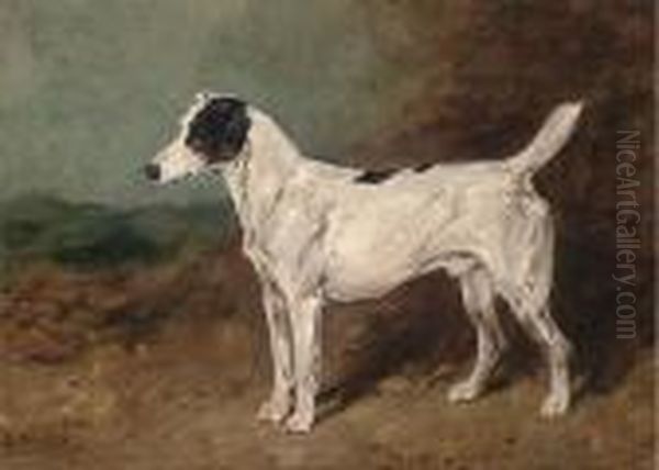 Bitters, A Terrier - view 1
