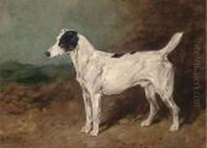 Bitters, A Terrier