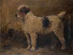 Rough-coated Terrier by John Emms