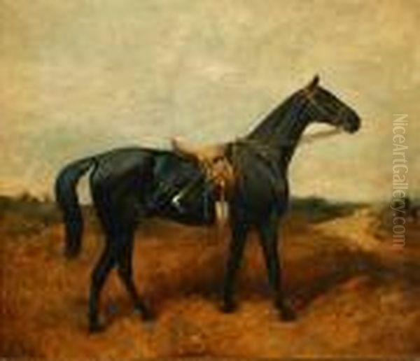 Lady Compton's Second Horse 'polish' - view 1