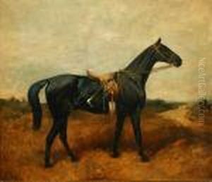 Lady Compton's Second Horse 'polish' Lady Compton's Second Horse 'polish'