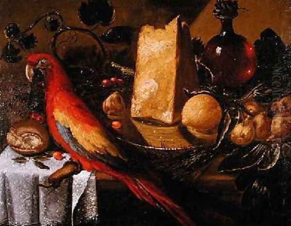 Still life with a parrot Macaw - view 1
