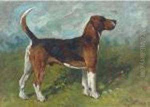Tomboy, A Hound In A Landscape Tomboy, A Hound In A Landscape