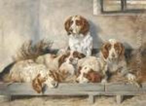 Five Clumber Spaniels by John Emms