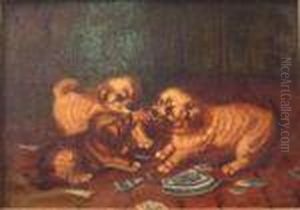 Threedogs Fighting Over Food by John Emms