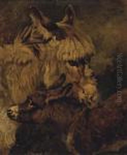 A Donkey And Foal - view 1