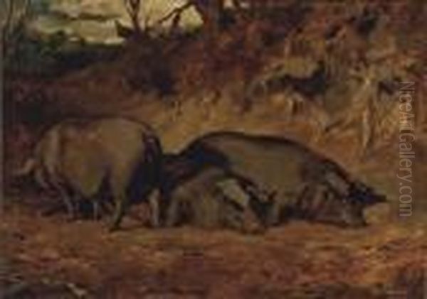 Pigs In A Wood - view 1