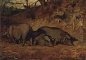 Pigs In A Wood