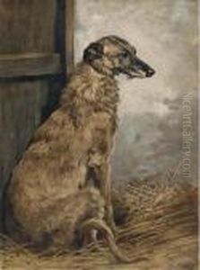 Countess, A Deerhound