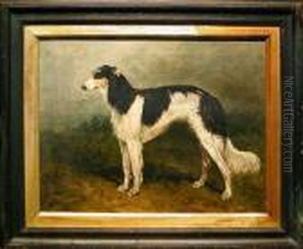 Borzoi In A Landscape - view 1