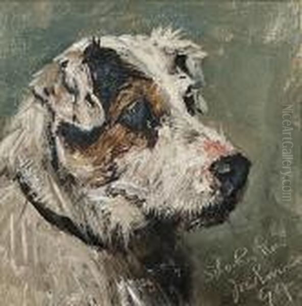 Head Study Of A Terrier - view 1