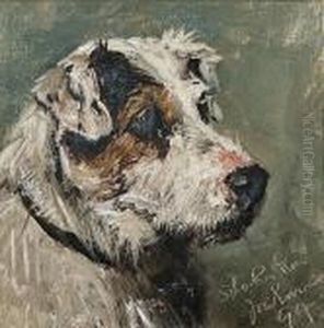 Head Study Of A Terrier