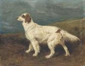 Dora, An English Setter In A Landscape by John Emms