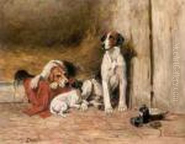 In The Kennel - view 1