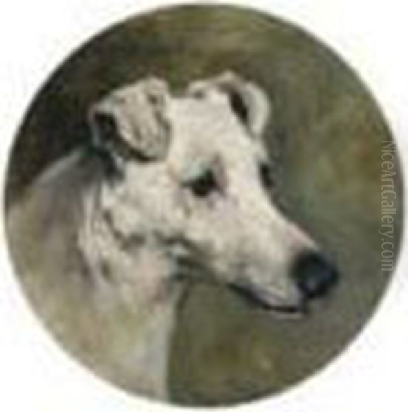 A Fox Terrier - view 1