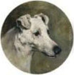 A Fox Terrier