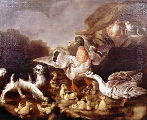 Animal Still Life - view 1