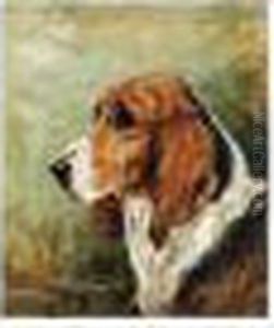 Study Of The Fox Hound ''happy Thought'' by John Emms