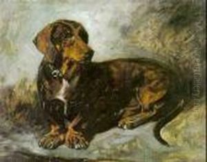 Dachshund by John Emms
