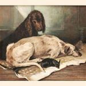 Companions Companions