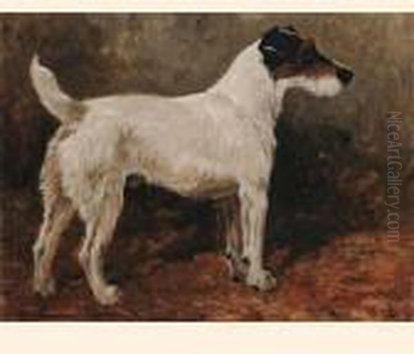 Champion Wire Fox Terrier Roper's Nutcrack, F.t.c. Stud Book No.8084. - view 1