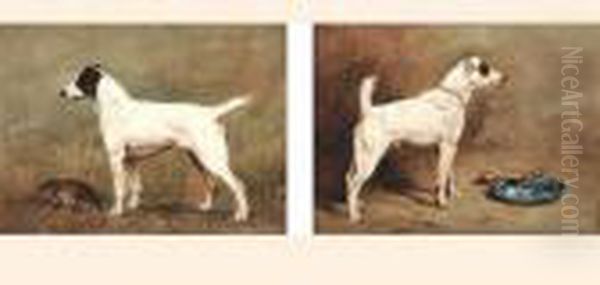 Fox Terriers - view 1