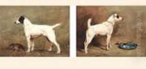 Fox Terriers by John Emms
