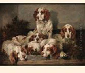 Clumber Spaniels by John Emms