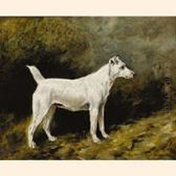'champion Vesuvienne" - view 1