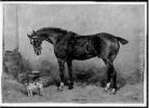 Signee Et Datee 1903 En Bas A Droite. Signee Et Datee 1903 En Bas A Droite.