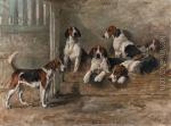Harriet, Norah, Harper, Hornpipe, Norman And Nigel - view 1