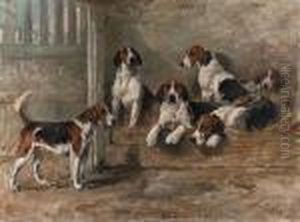 Harriet, Norah, Harper, Hornpipe, Norman And Nigel Harriet, Norah, Harper, Hornpipe, Norman And Nigel