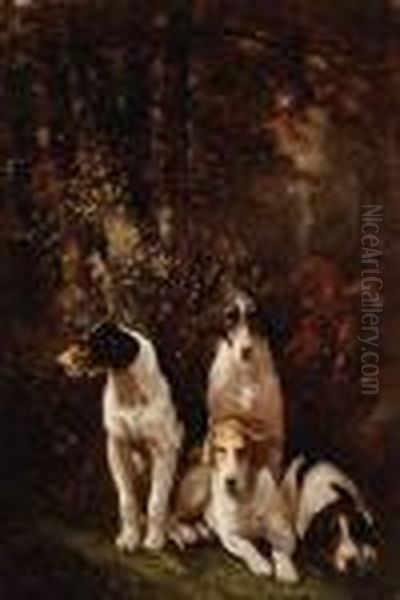 Hounds At Rest - view 1