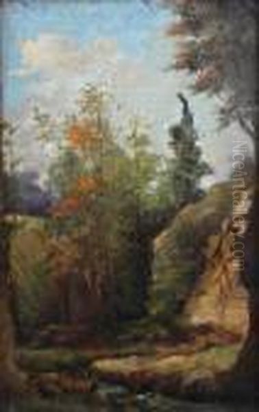 Landscape - view 1