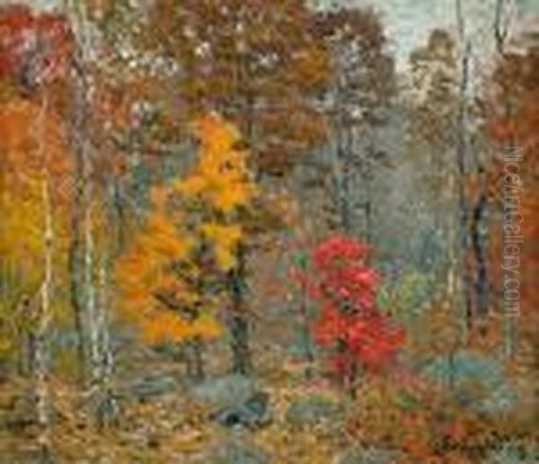 Autumn Foliage - view 1