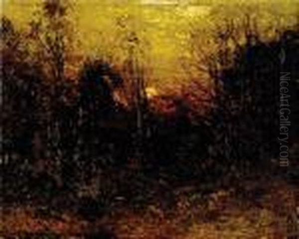 Woodland Sunset - view 1