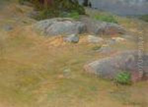 Stony Pasture, New England by John Joseph Enneking