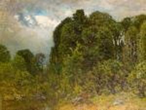 Woodland Stream by John Joseph Enneking