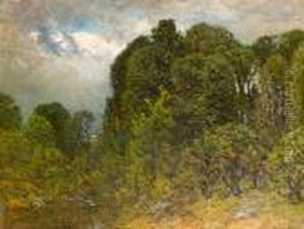 Woodland Stream - view 1