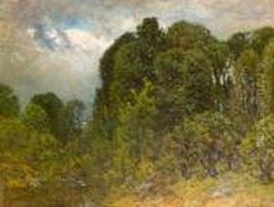 Woodland Stream thumbnail