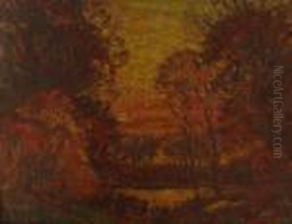 Forest Landscape. - view 1