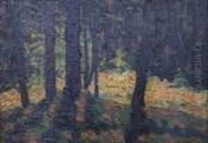 Forrestwith Sunlit Clearing by John Joseph Enneking